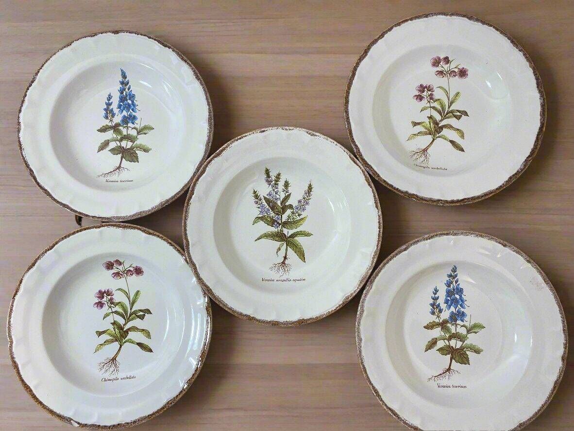 Set of 5 botanical deep plates, ADP Haute Provence