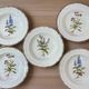 Set of 5 botanical deep plates, ADP Haute Provence