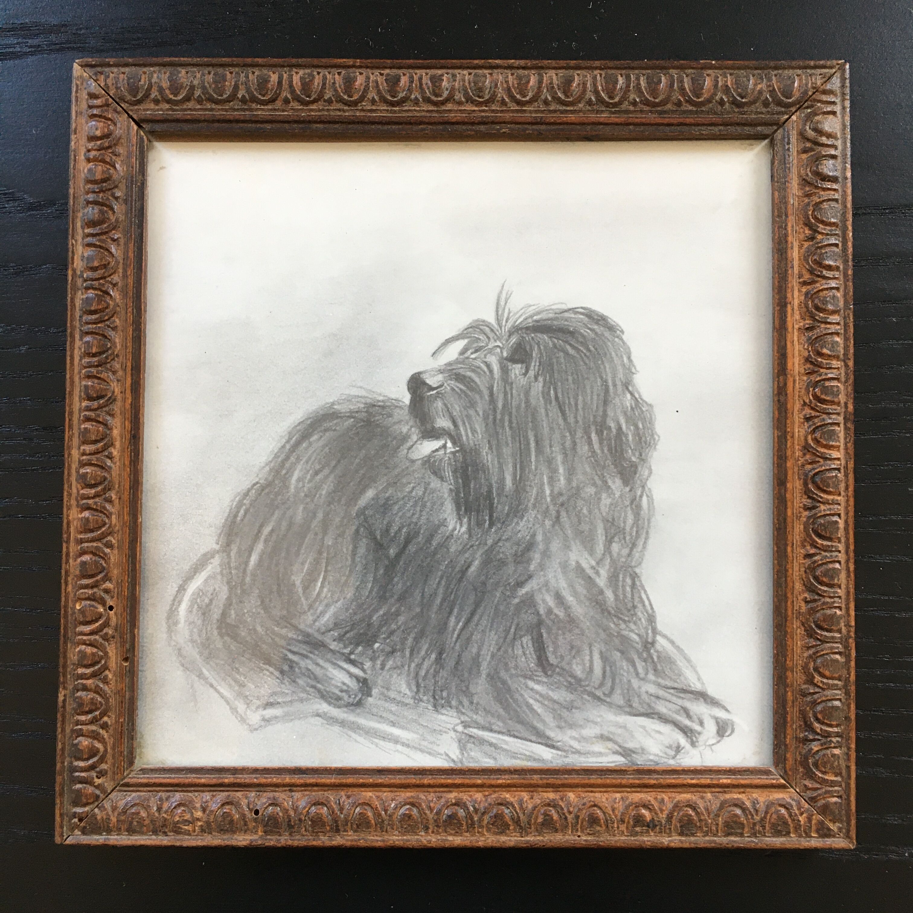 Dog charcoal drawing framed