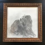 Dog charcoal drawing framed