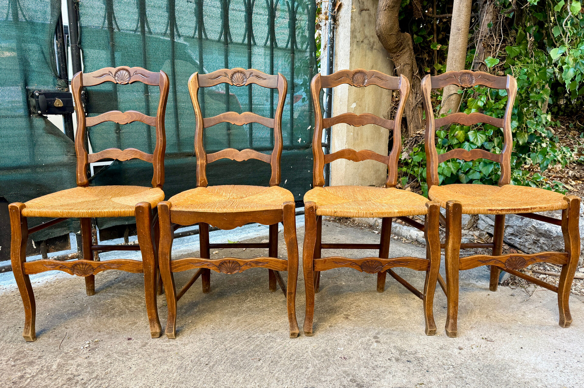 Set of 4 Provençal oak chairs with rush seats.