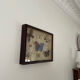 Butterfly framework naturalist entomology