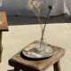Petrified wood bowl or dish D27-23 -3322