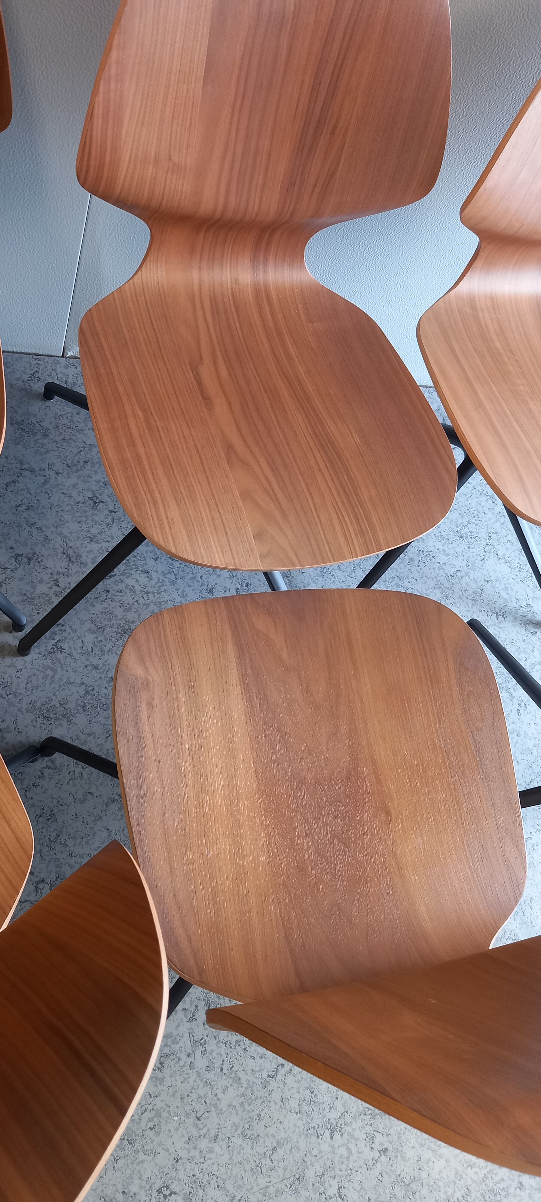 Chair "florence" bo concept