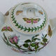 Faîence teapot portmeirion made in england décor botanic garden