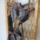 Old snowshoes Canada