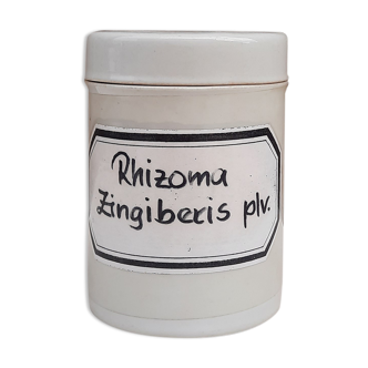 Pot d'apothicaire en porcelaine, "rhizoma zingiberis plv. ", allemagne 1930