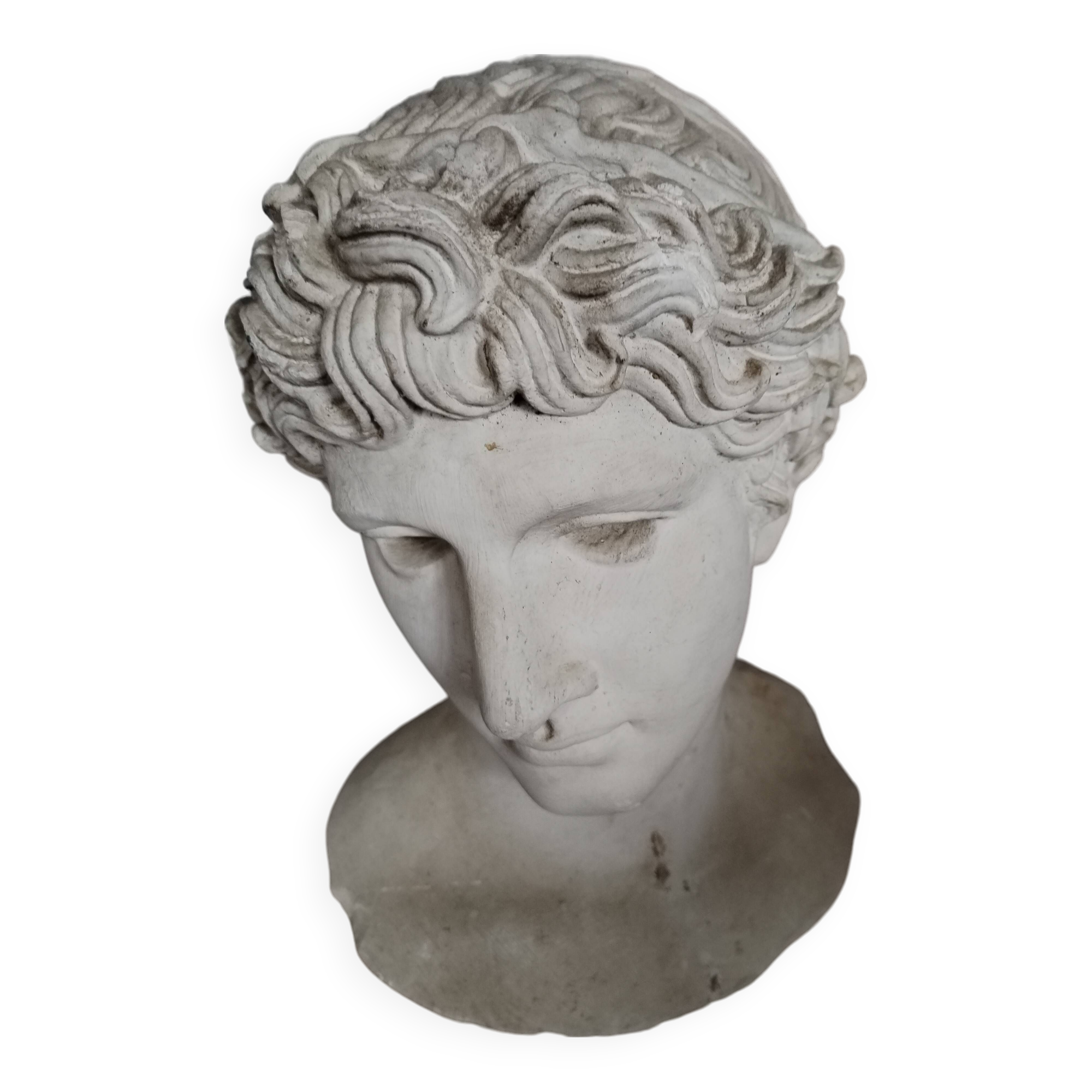 White plaster Apollo bust early 20th century