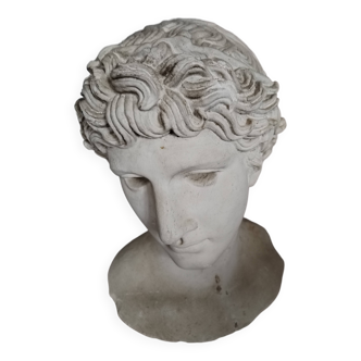 Buste Apollon plâtre blanc début 20 éme