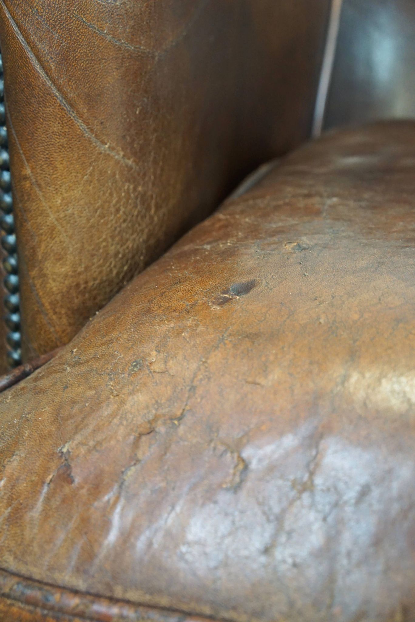 Set of two rugged sheep let of two rugged sheep leather club armchairs with a nice distressed look