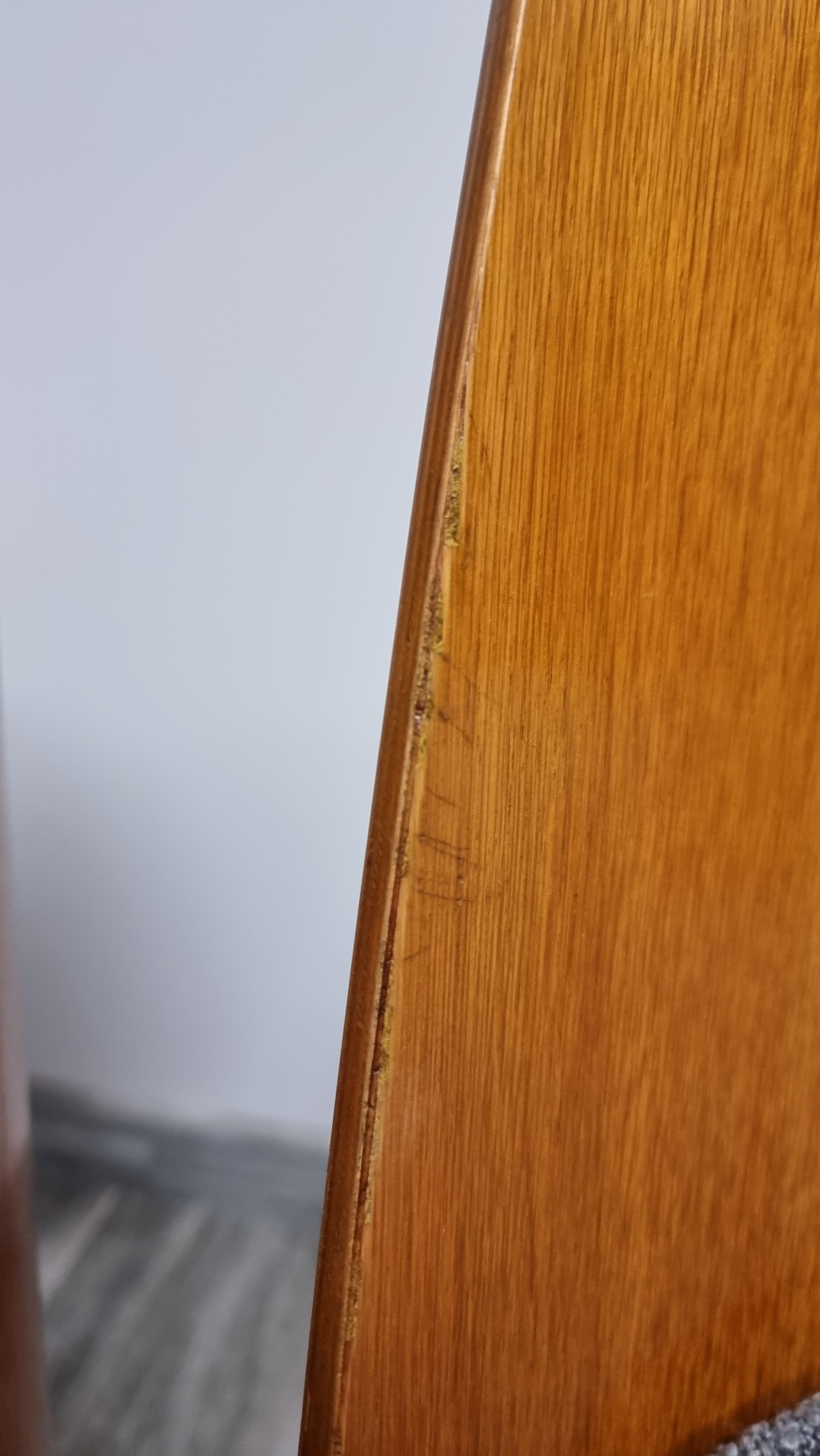 Dining Chairs by Oswald Haerdtl, 1950s, Set of 4