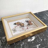 Frame 3 butterflies and dried flowers