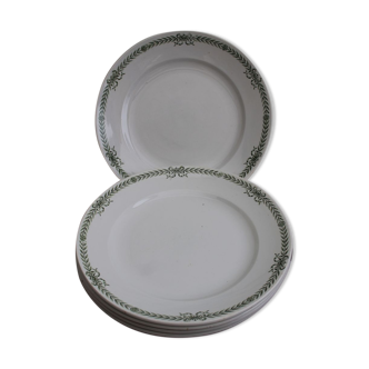 Set of 6 flat plates