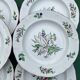 Villeroy & Boch - 6 semi-deep plates