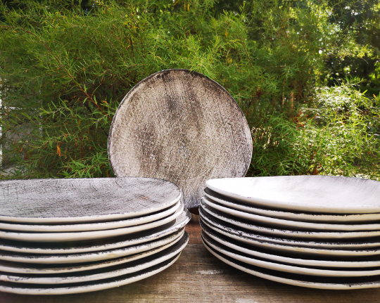 Service model Twilight by the manufacture of Niderviller 12 flat plates and two dishes