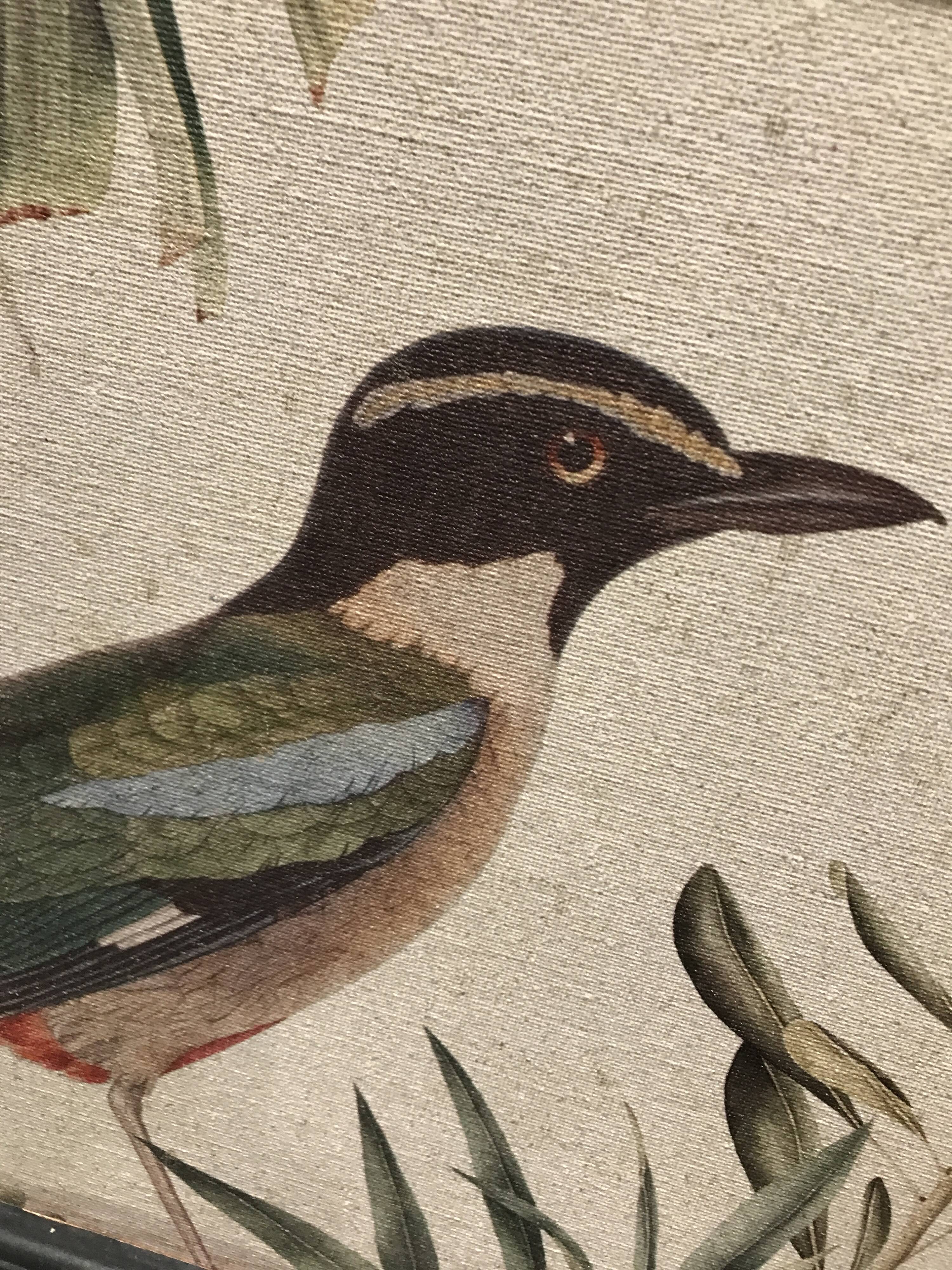 Bird frame on canvas