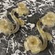 Pair of glass table candle holders circa 1960-1970