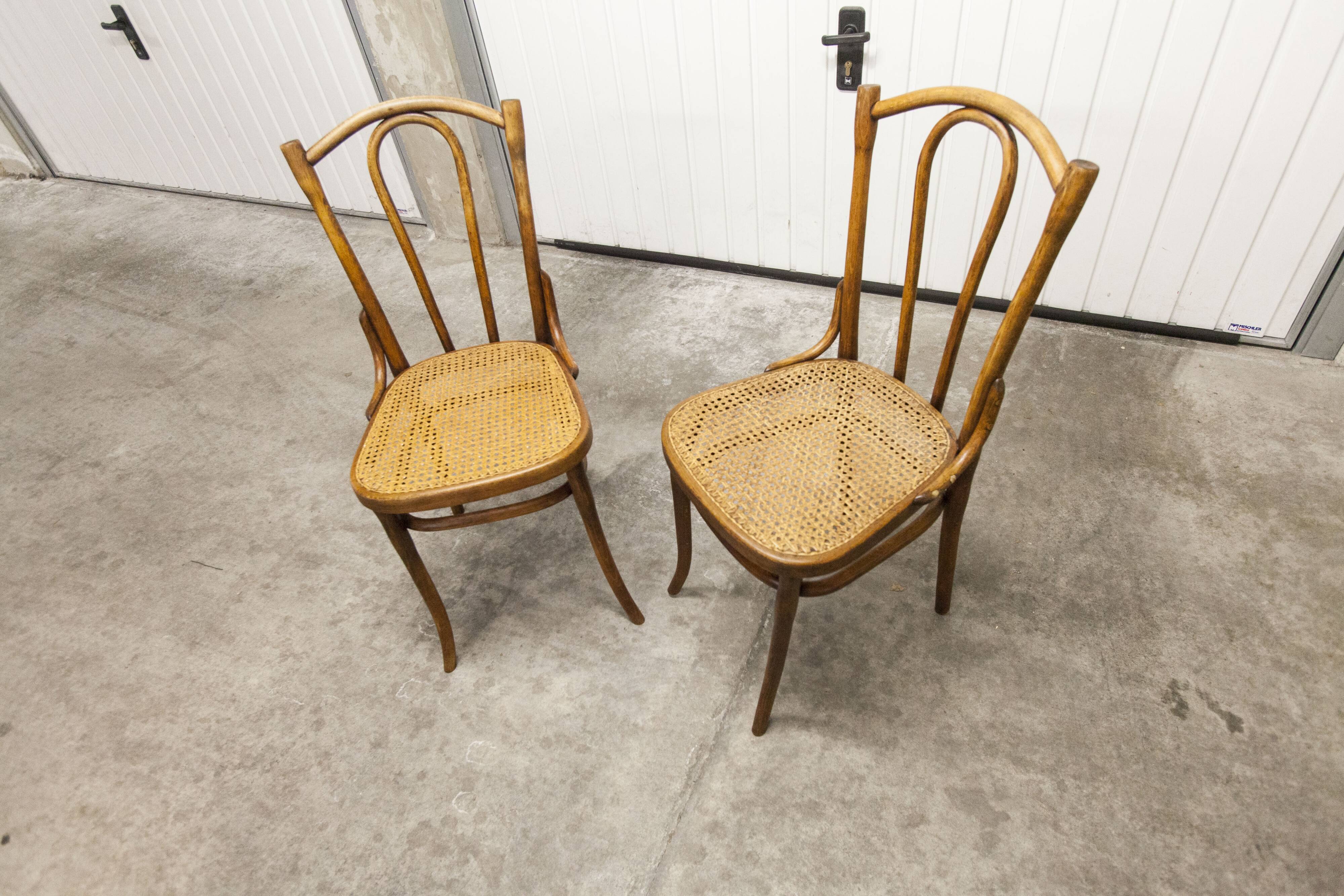 Pair of chairs bistrot Thonet Austria 1900 canning stamped