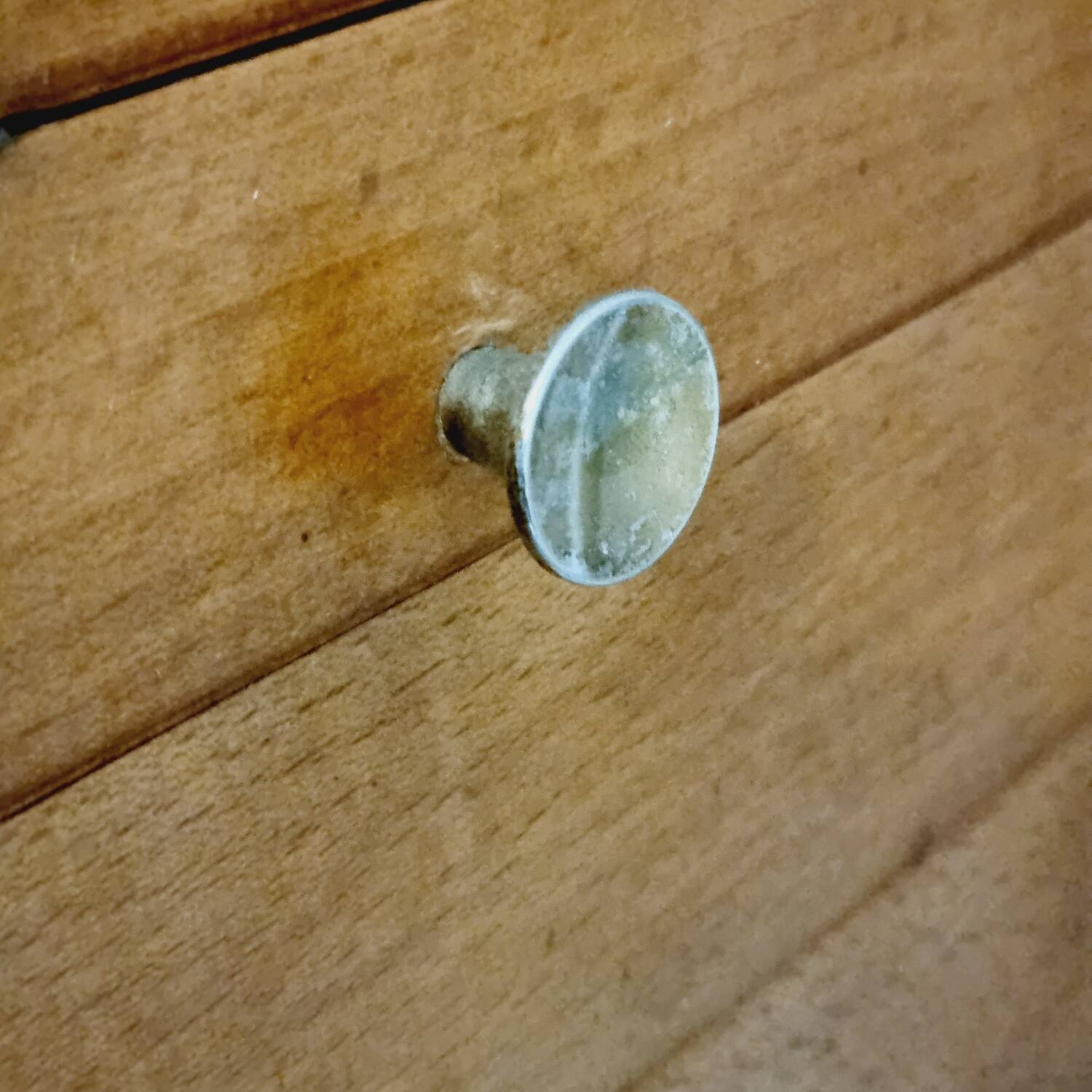 Oak worker with compass feet