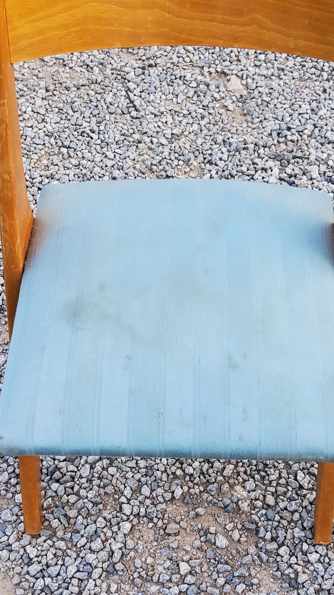Pair of vintage chairs 50s