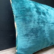 Lot de 2 coussins velours/imprimés 50x30cm