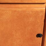 Vintage 1960s 2-door, 2-drawer low cabinet