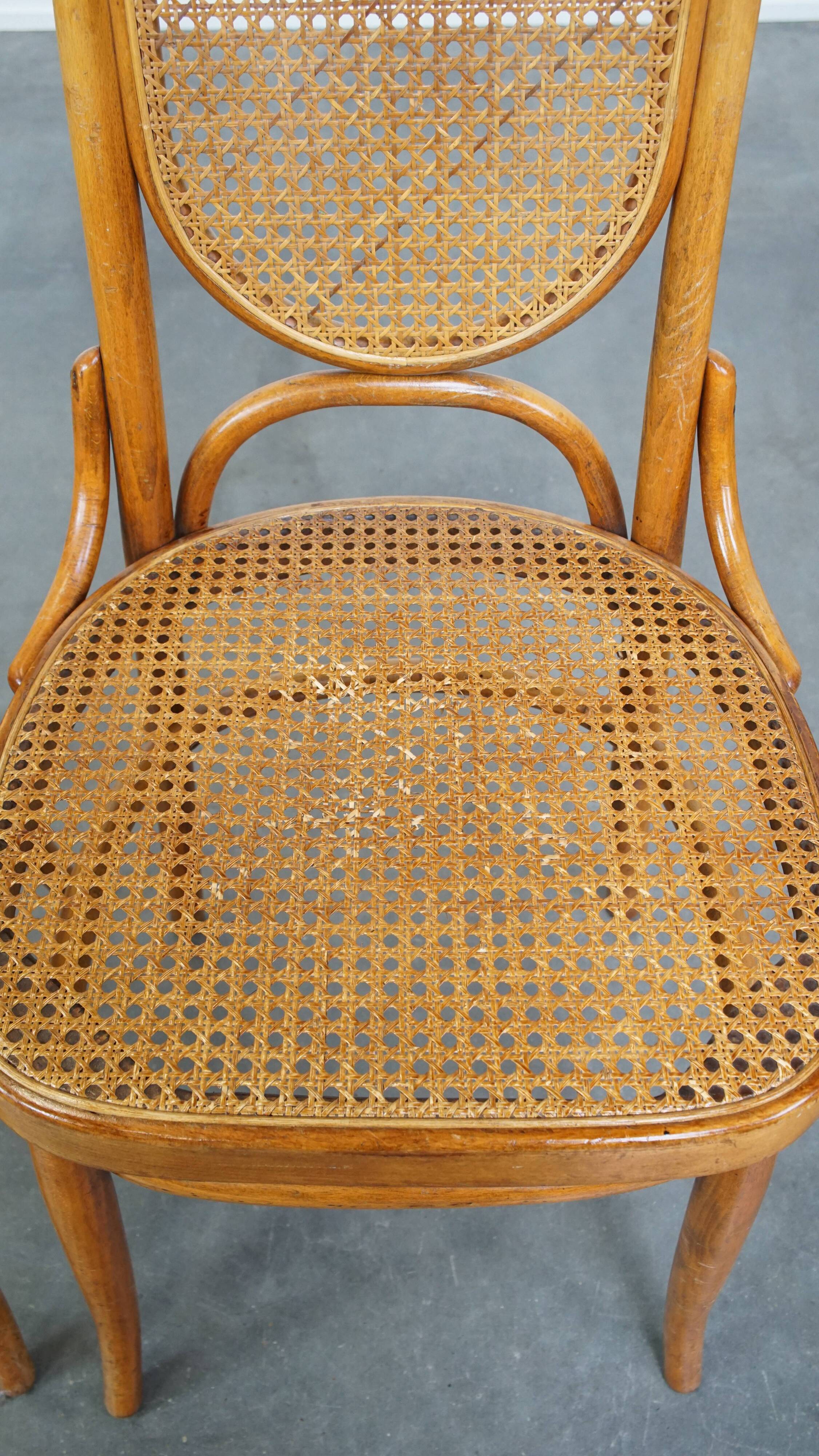 Set of 2 light brown bentwood Thonet style chairs model "Long John"