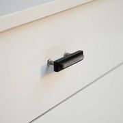 Scandinavian lacquered chest, 1930s/40s
