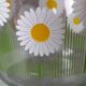 Service at orangeade daisies