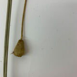 Mid-century set of 2 wall lamps, 1950’s