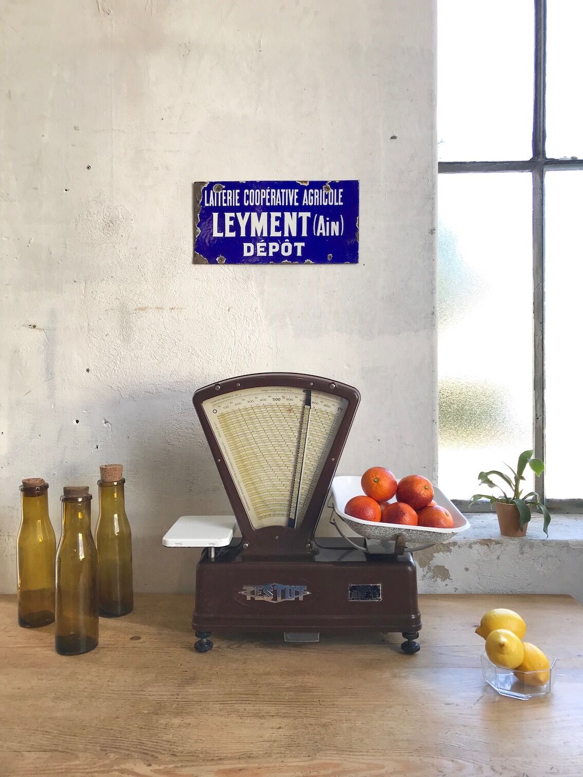 Testut scale in bakelite