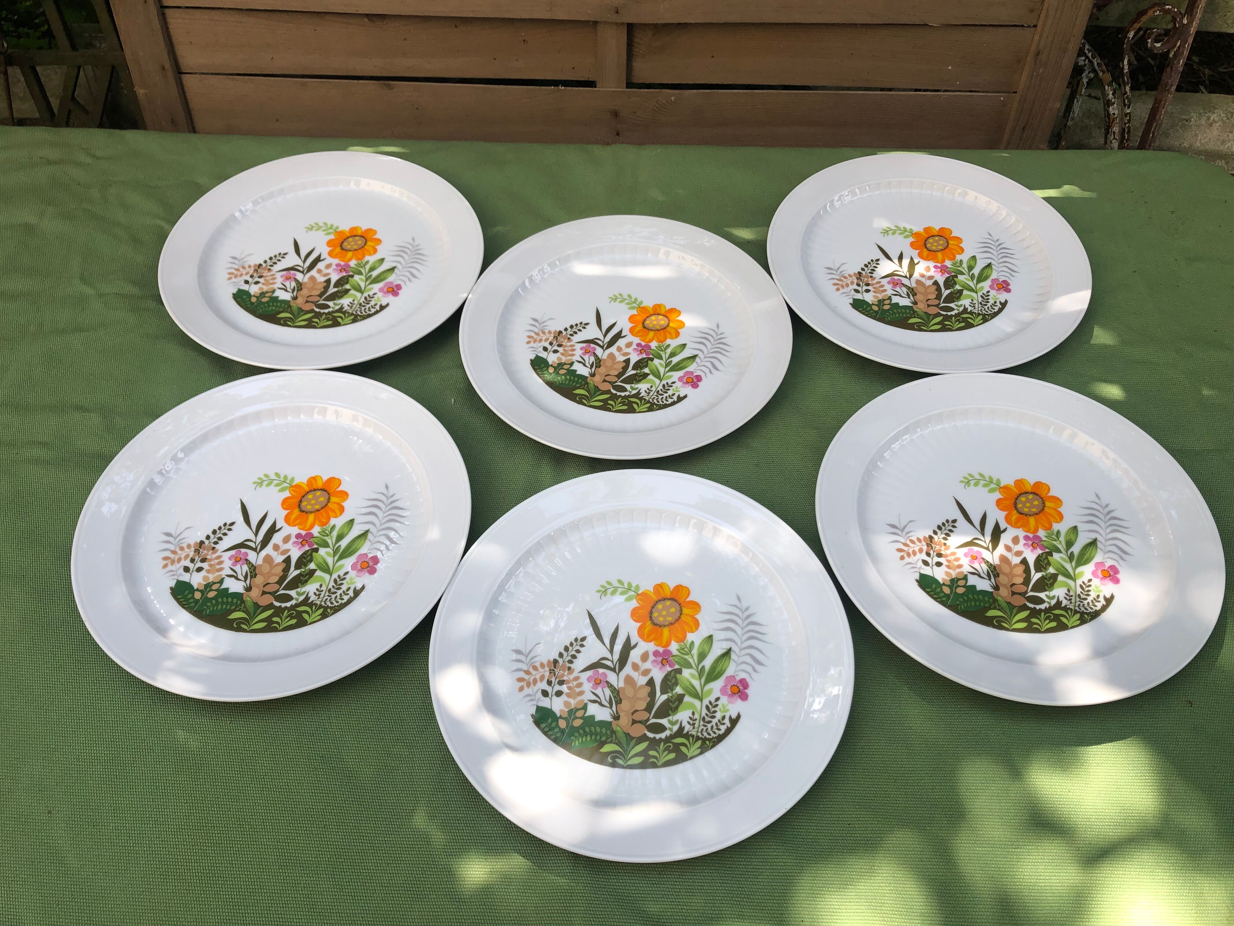 Set of 6 flat porcelain plates Winterling Bavaria