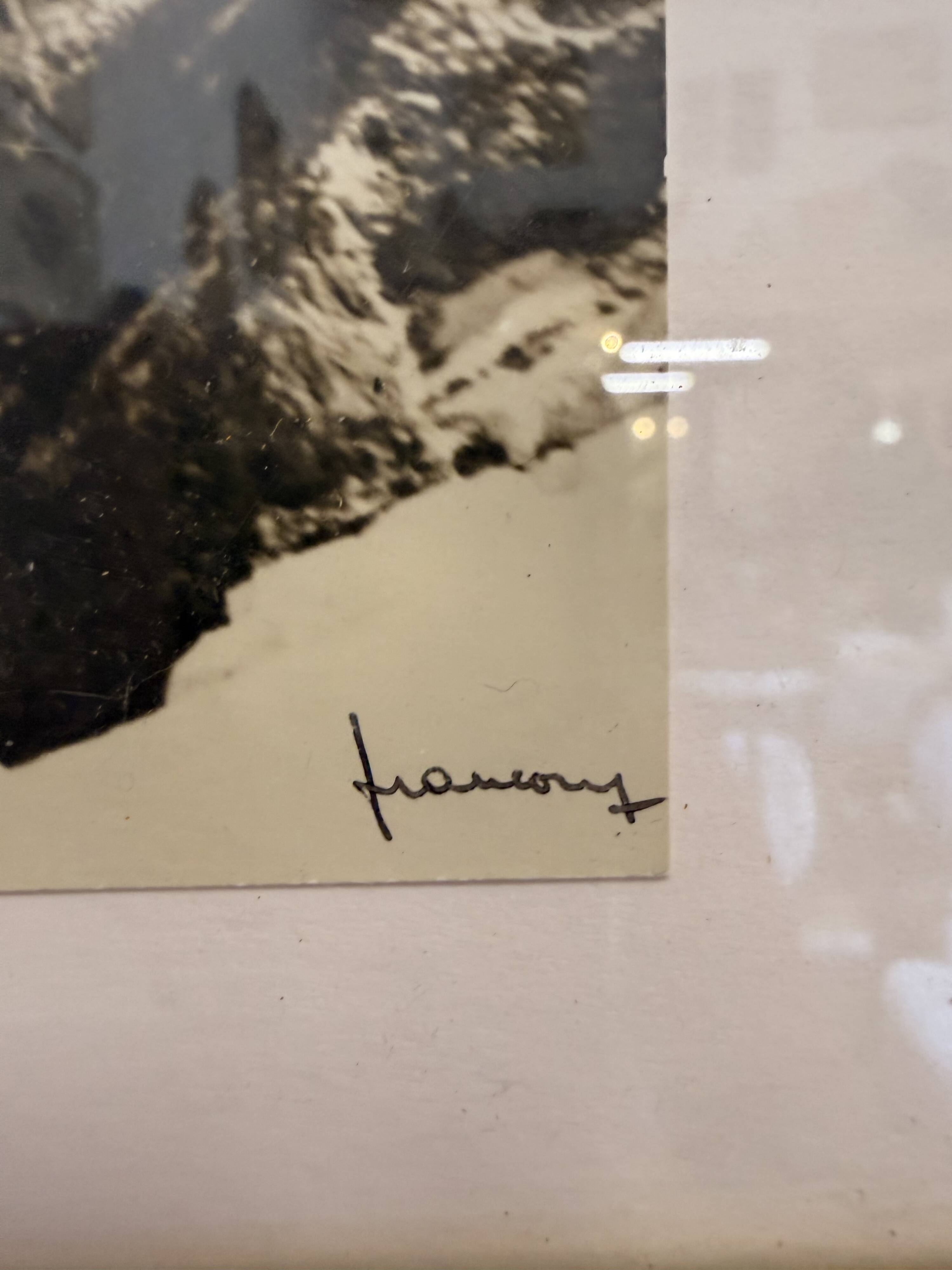 Photographic reproduction Tairraz – Framed alpine landscape