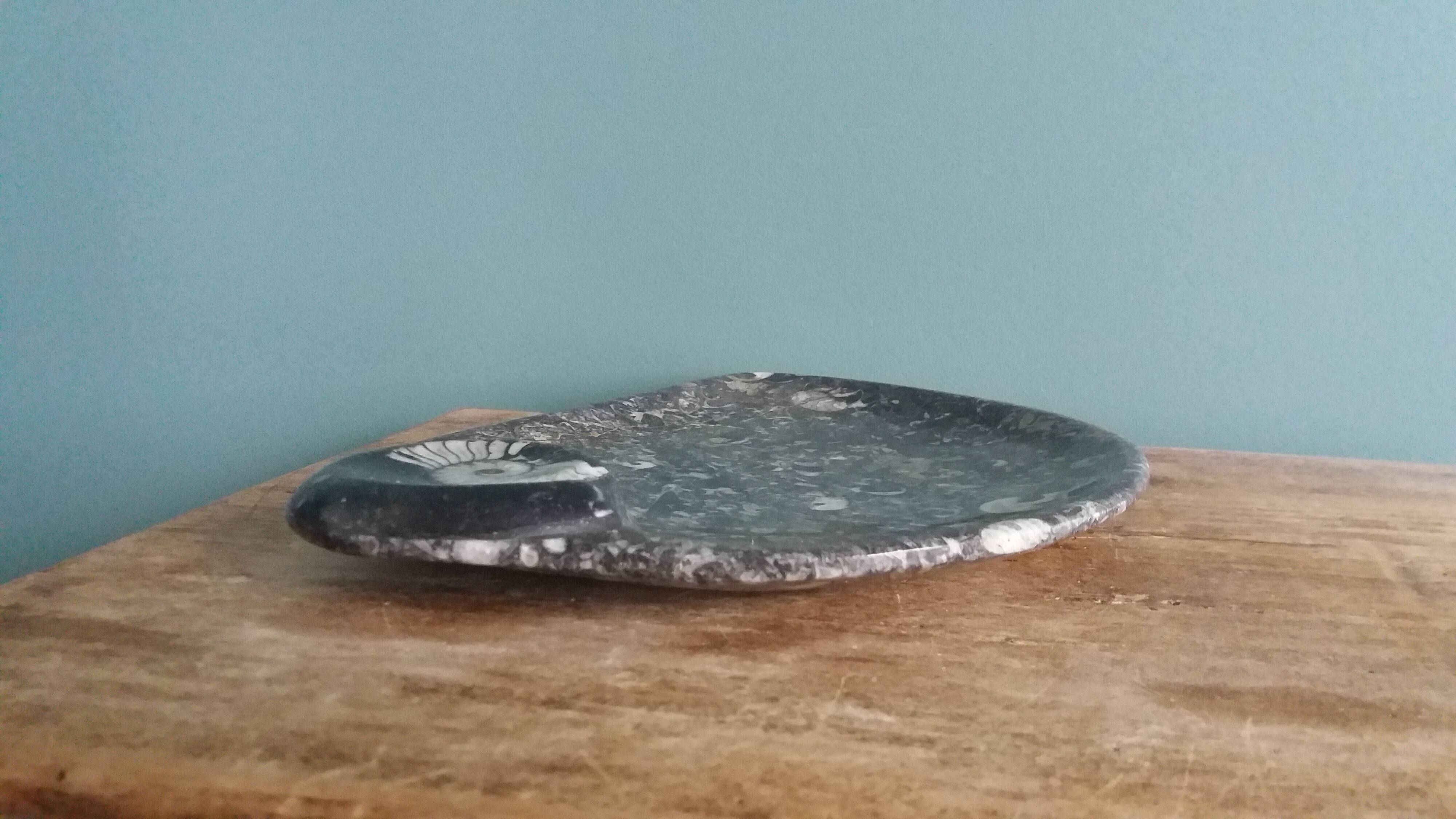 Marble trinket tray with ammonite fossil