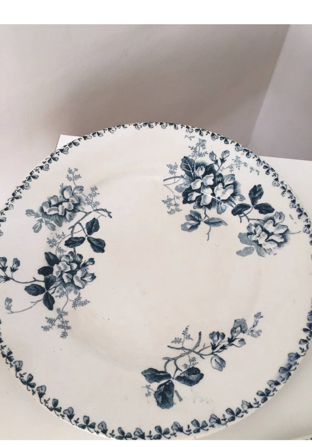 Assiette Terre de Fer St Amand Acacia XIX