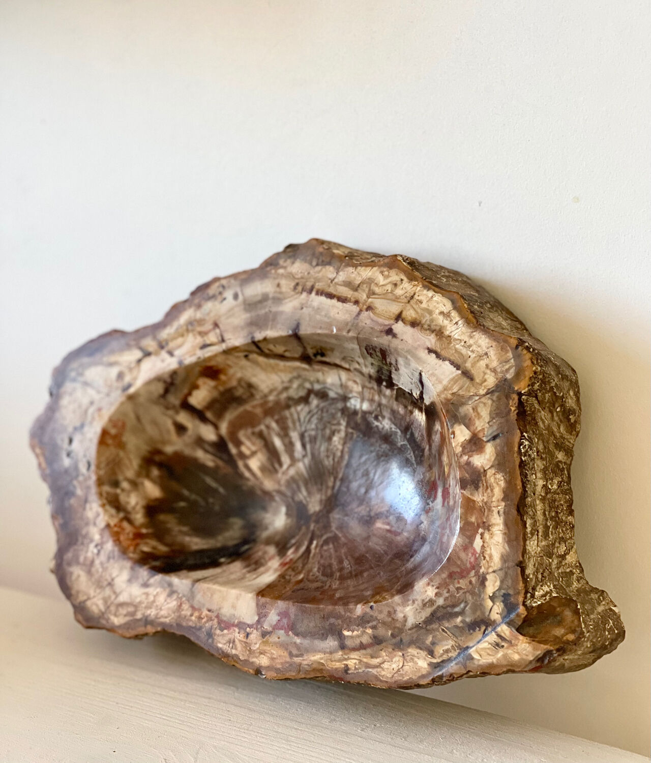 Petrified wood catchall