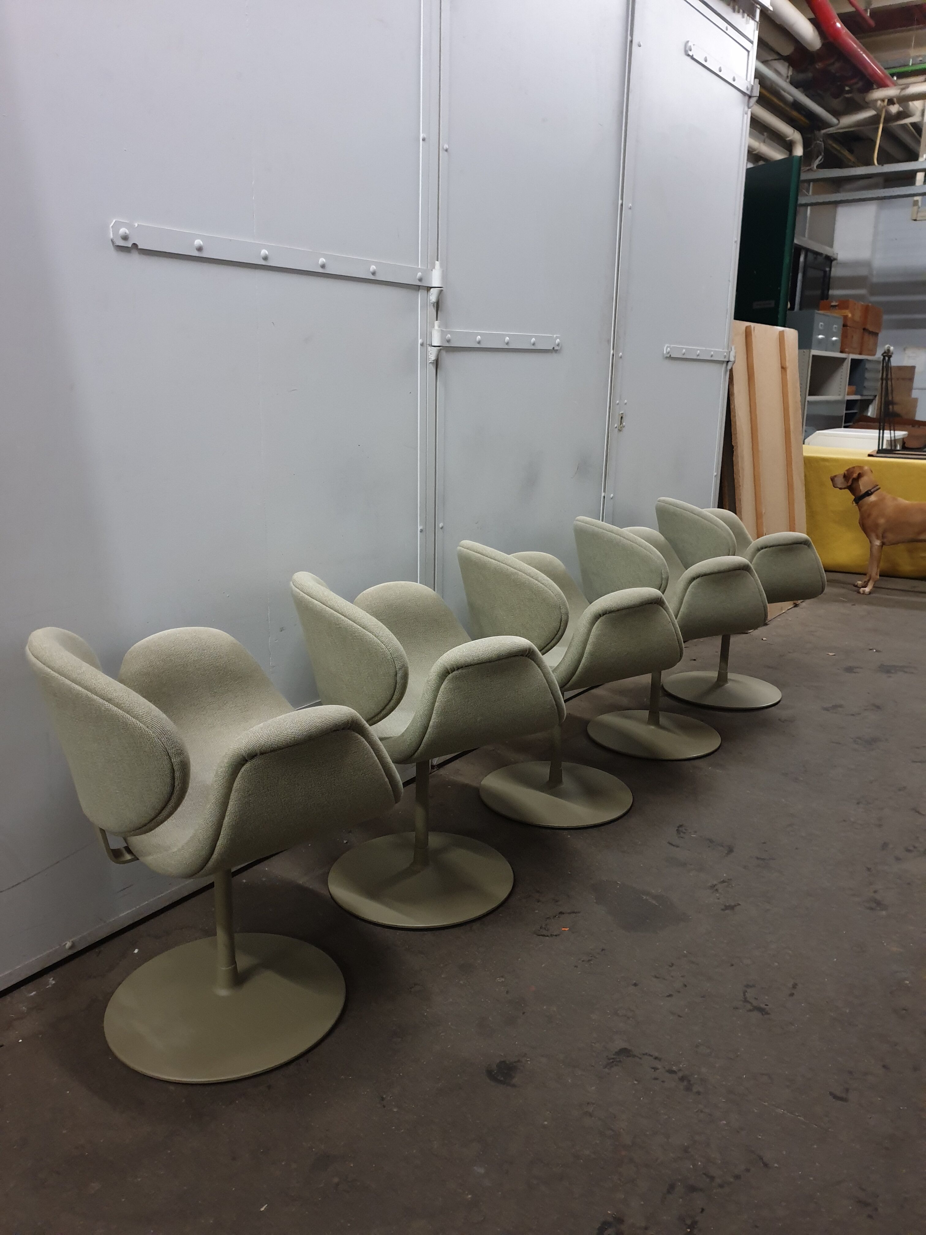 Fauteuils "Little tulipe" par Pierre Paulin pour Artifort