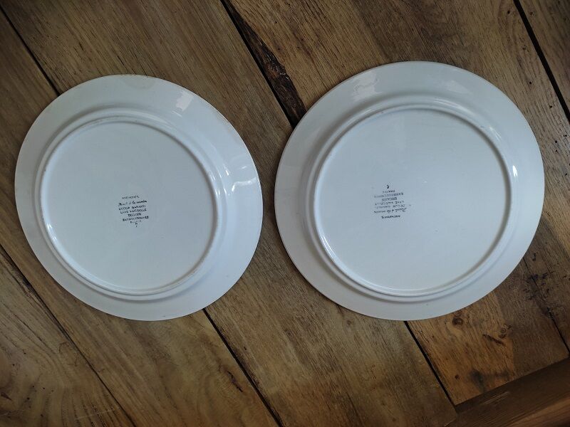 Plates Porcelain Digoin Anemones Sarreguemines Old dp 0722127