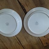 Assiettes porcelaine Digoin anémones Sarreguemines ancienne dp 0722127