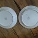 Plates Porcelain Digoin Anemones Sarreguemines Old dp 0722127