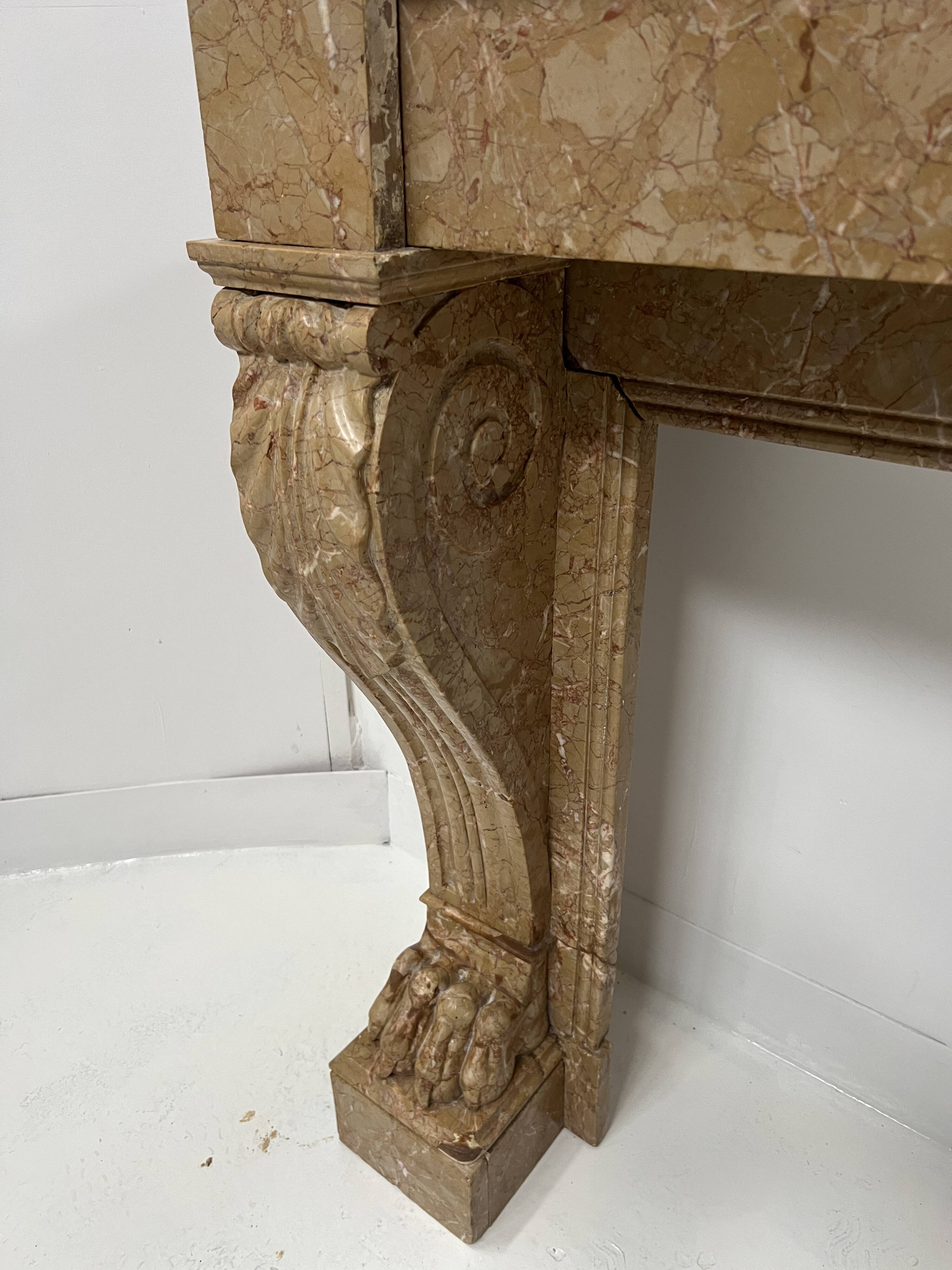 Napoleon III fireplace with claw feet in speckled marble, 19th century.