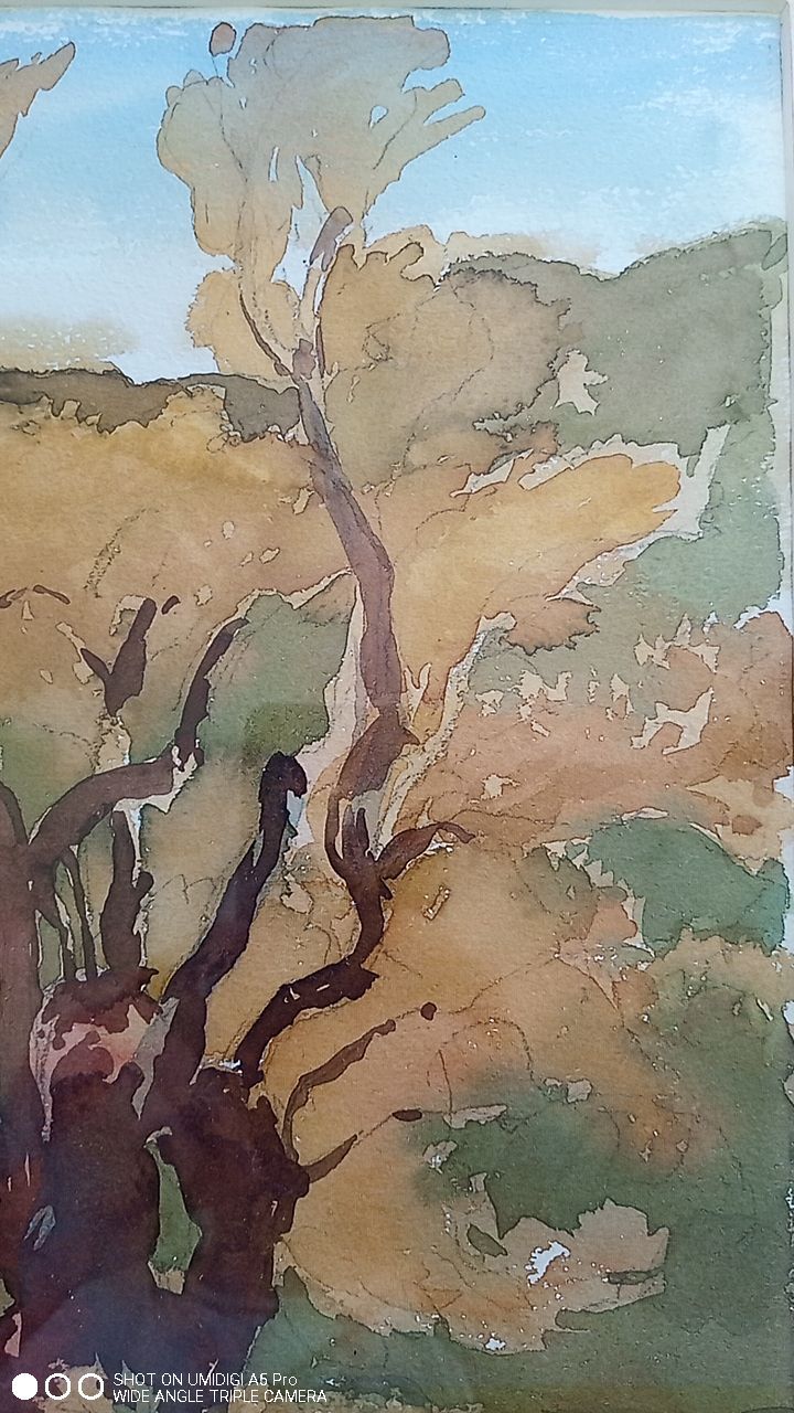Pascale Rigat-Esselin (born 1952) - Watercolor - 37 x 28 cm