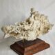Ancien corail blanc entier sur support en bois massif, 34 cm