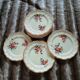 10 assiettes plates anciennes Longchamp 