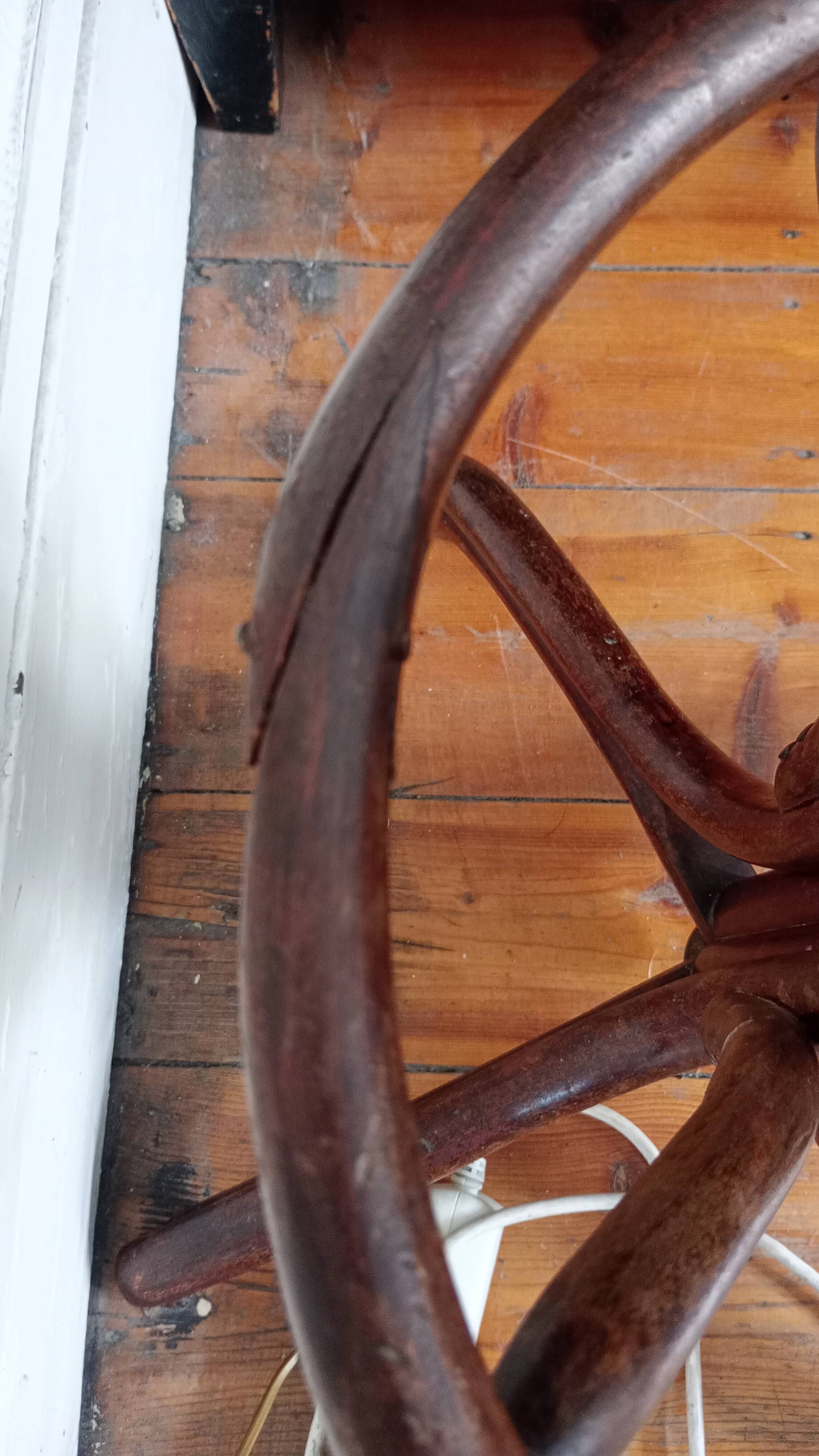 Old parrot coat rack