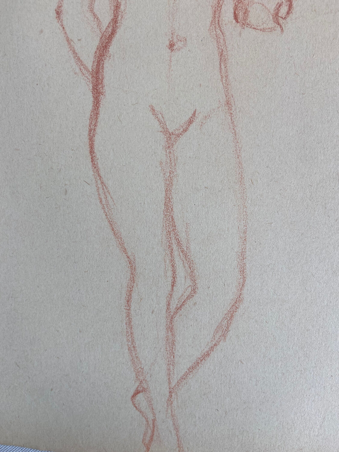 Female nude drawing