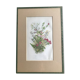 Gravure herbier