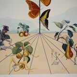 Salvador Dali: Flordali, The Butterfly Rose, original signed lithograph