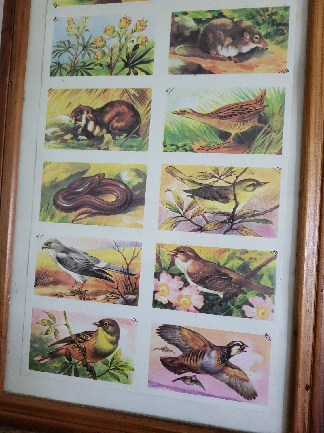 Vintage illustration