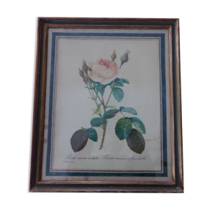 Lithographie ancienne encadrée
